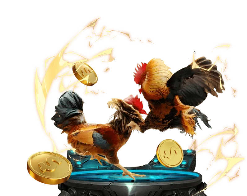 Đá Gà Trực Tiếp 123b